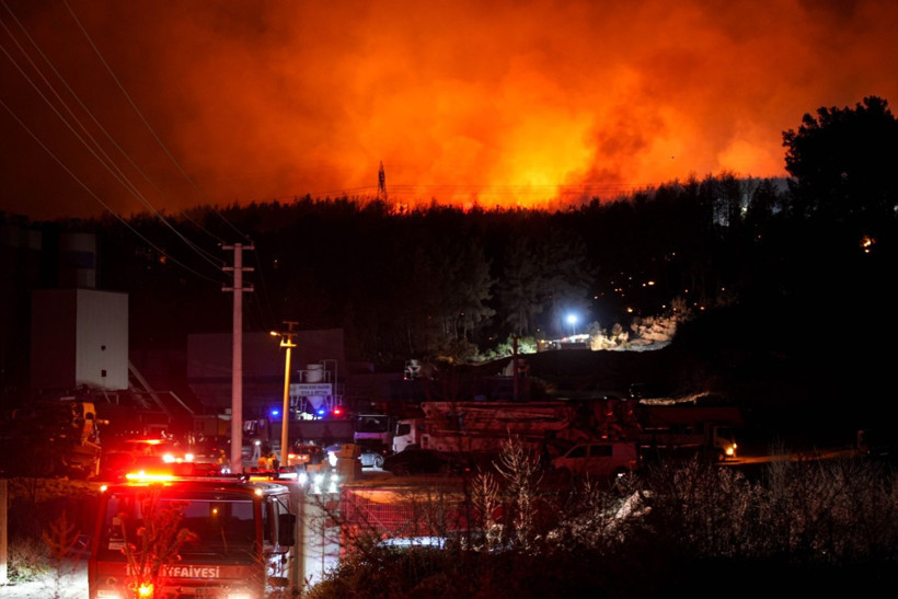Cebimiz de yanıyor: Sadece bir hektarın maliyeti 600 bin lira - Resim: 18