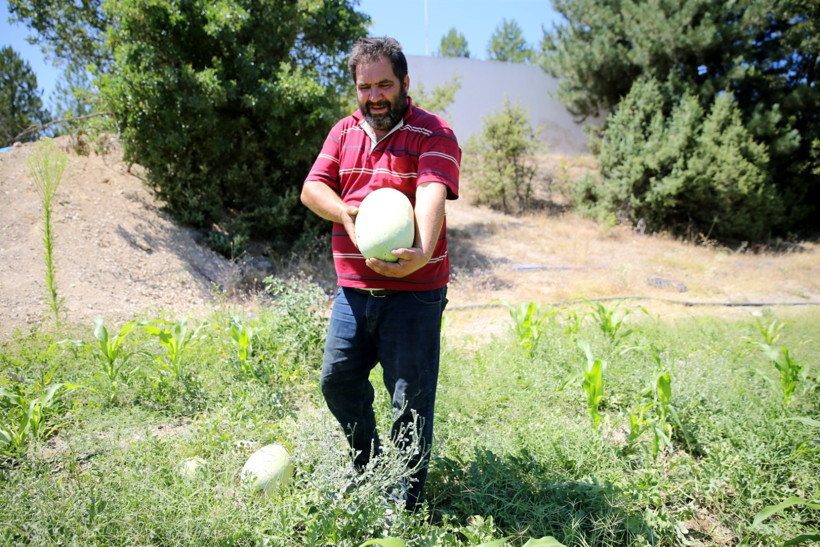 Kanser acısı onu organik tarıma yöneltti: Ata tohumuyla 250 çeşit ürün yetiştiriyor - Resim : 1