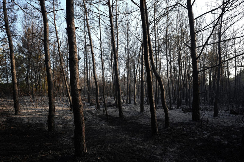 Sabaha kadar alevlerle mücadele ettiler - Resim: 4