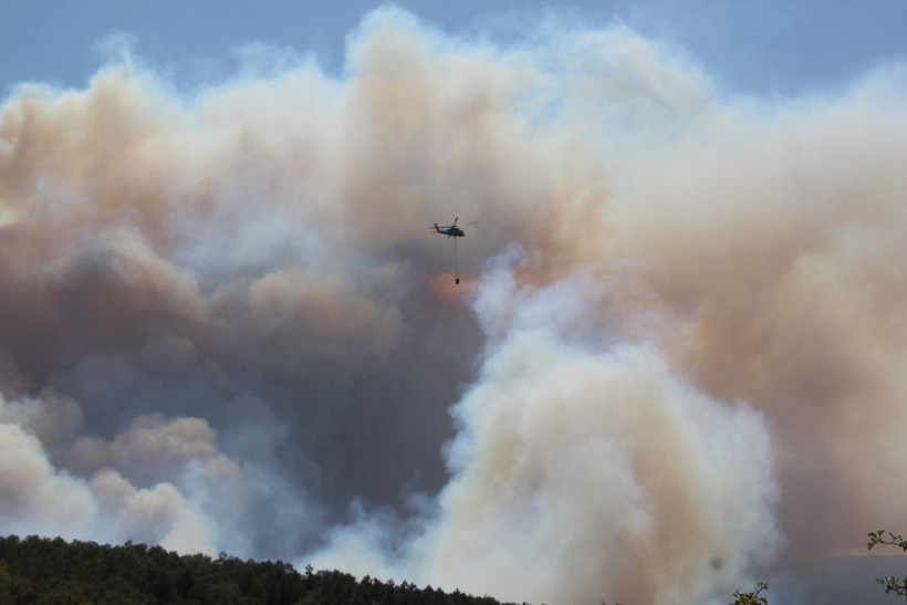 Kocaeli'de çıkan orman yangınına müdahale ediliyor - Resim: 20