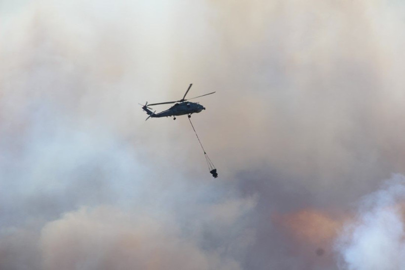 Kocaeli'de çıkan orman yangınına müdahale ediliyor - Resim: 21