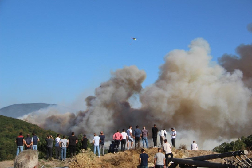 Kocaeli'de çıkan orman yangınına müdahale ediliyor - Resim: 23