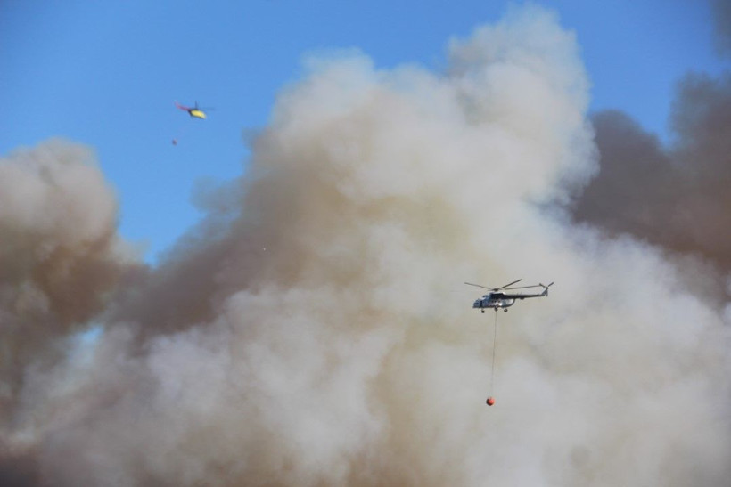 Kocaeli'de çıkan orman yangınına müdahale ediliyor - Resim: 25