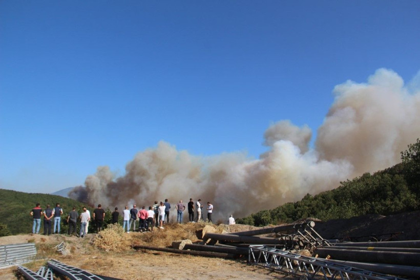Kocaeli'de çıkan orman yangınına müdahale ediliyor - Resim: 27