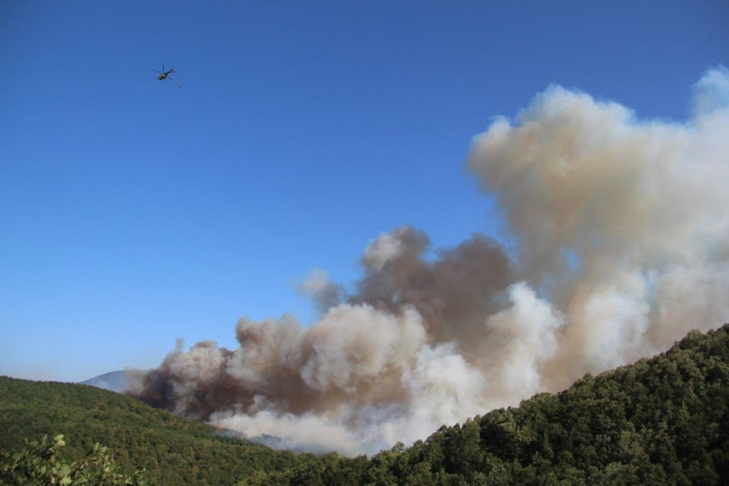 Kocaeli'de çıkan orman yangınına müdahale ediliyor - Resim: 28