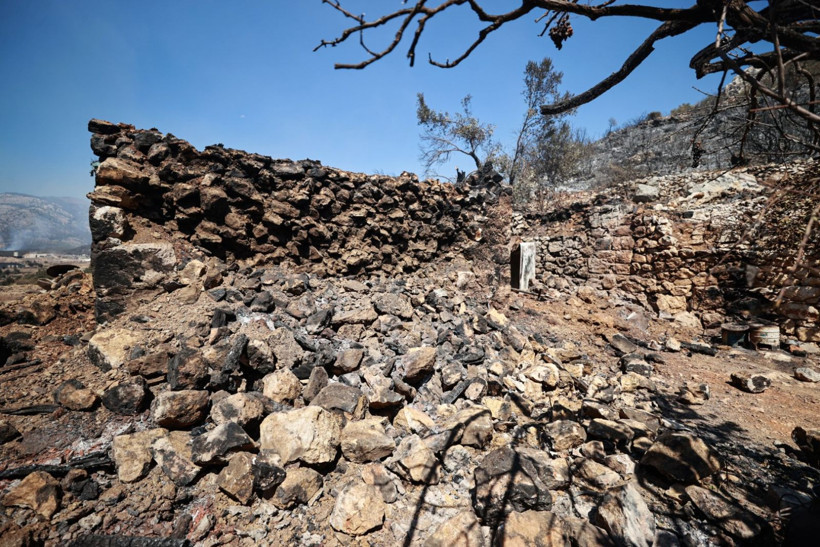 Çok acı görüntüler: Mezarlıklar da kül oldu - Resim: 6