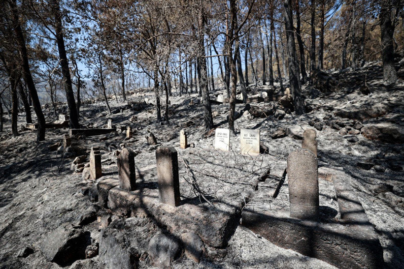 Çok acı görüntüler: Mezarlıklar da kül oldu - Resim: 15