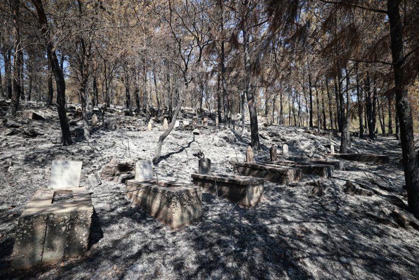Çok acı görüntüler: Mezarlıklar da kül oldu - Resim: 16