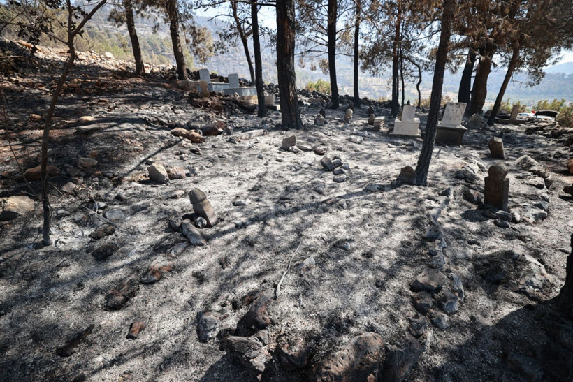 Çok acı görüntüler: Mezarlıklar da kül oldu - Resim: 17