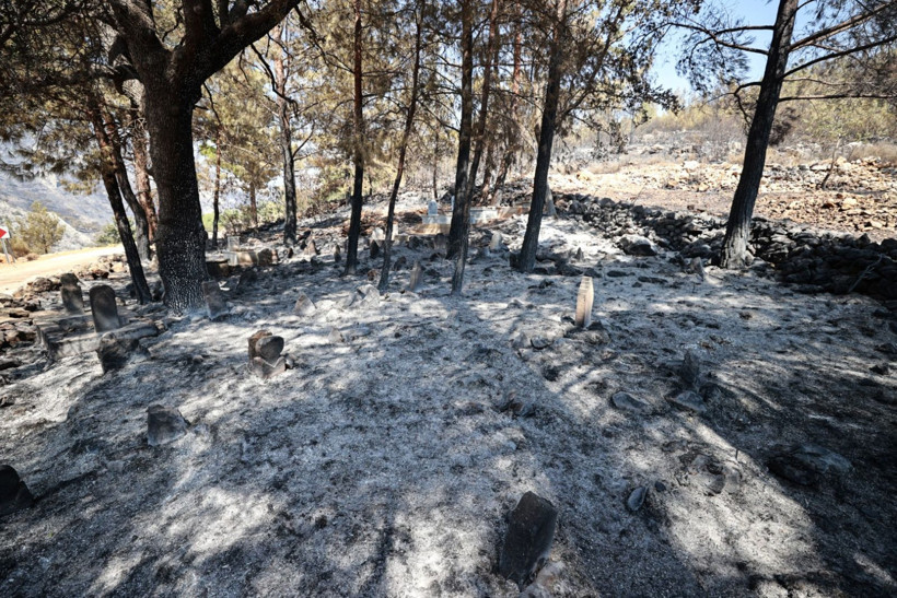 Çok acı görüntüler: Mezarlıklar da kül oldu - Resim: 18