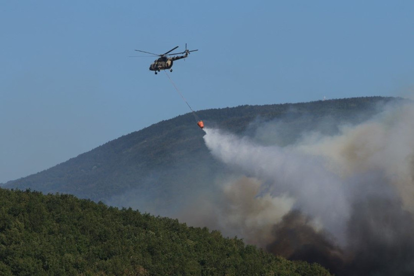 Kocaeli'de çıkan orman yangınına müdahale ediliyor - Resim: 8