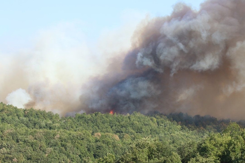 Kocaeli'de çıkan orman yangınına müdahale ediliyor - Resim: 9