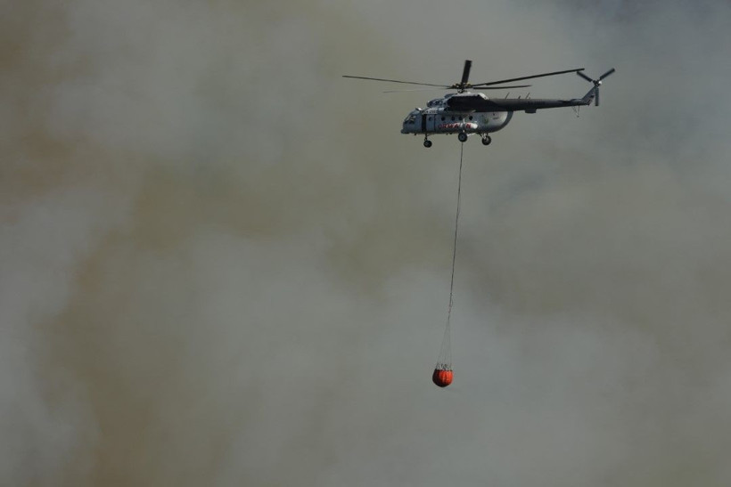 Kocaeli'de çıkan orman yangınına müdahale ediliyor - Resim: 11