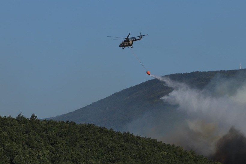 Kocaeli'de çıkan orman yangınına müdahale ediliyor - Resim: 12