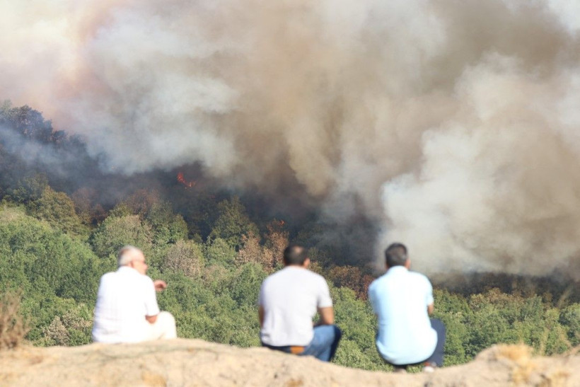 Kocaeli'de çıkan orman yangınına müdahale ediliyor - Resim: 13