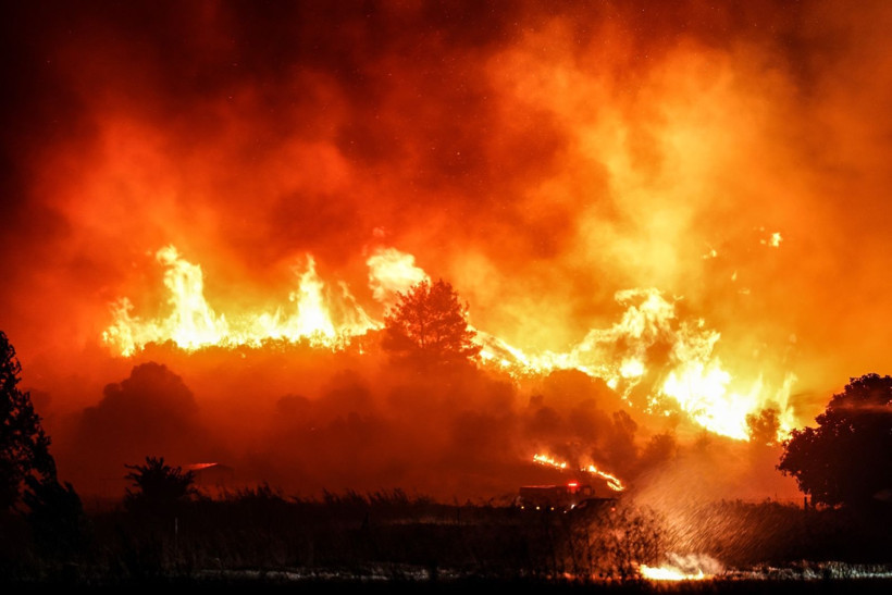 Çanakkale Gelibolu'da orman yangını: Hızla büyüdü - Resim: 30