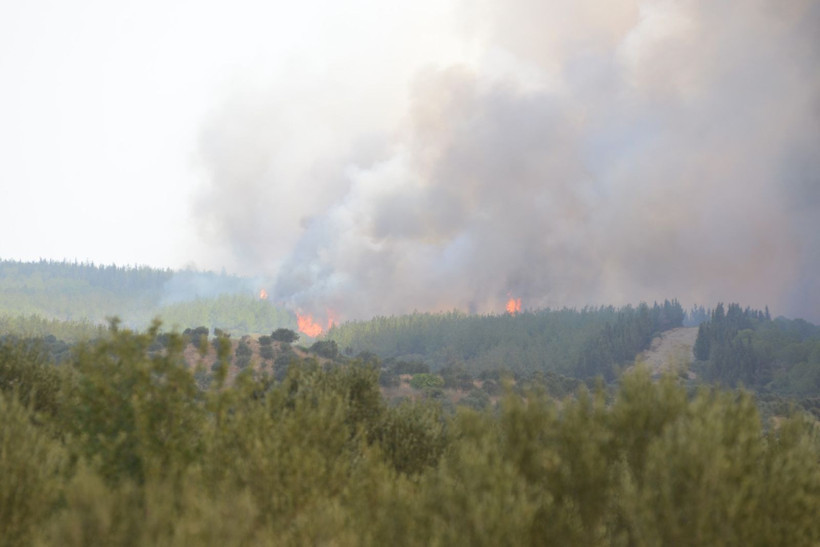 Çanakkale alev alev: Köyler boşaltıldı - Resim: 21