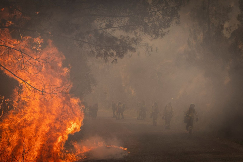 İspanya cehenneme döndü: Askerler sahada - Resim: 3