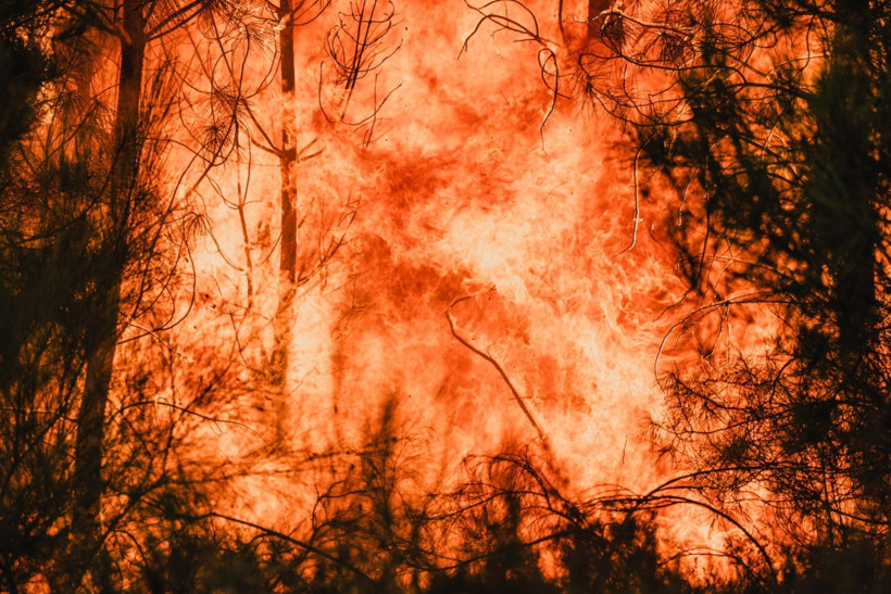 İspanya alev alev yanıyor - Resim: 17