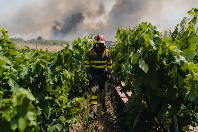 İspanya alev alev yanıyor - Resim: 24