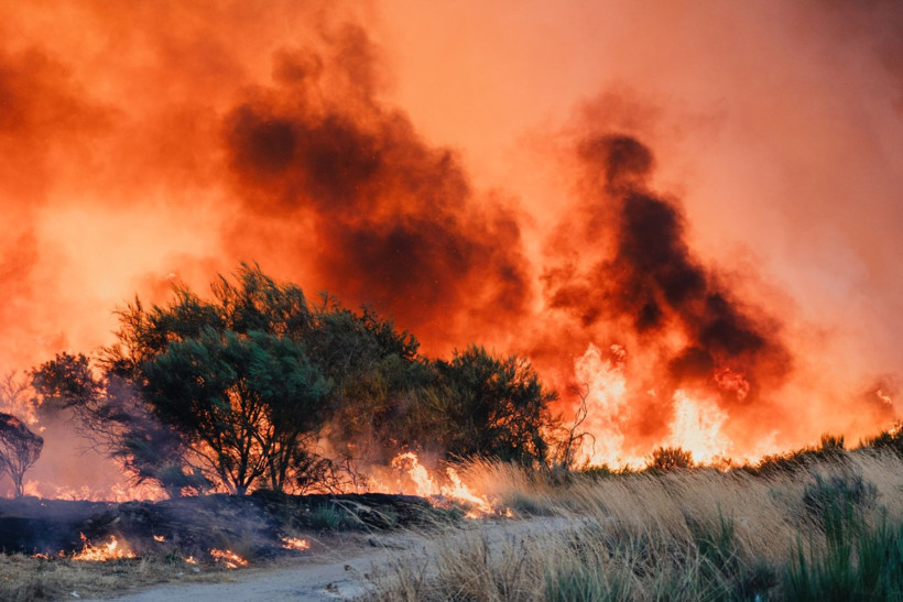 İspanya alev alev yanıyor - Resim: 29