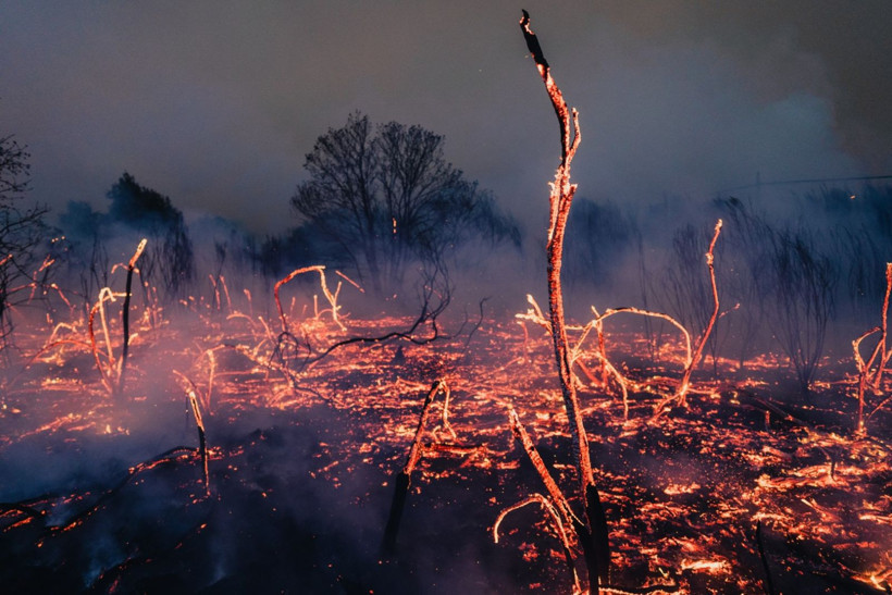 İspanya alev alev yanıyor - Resim: 3
