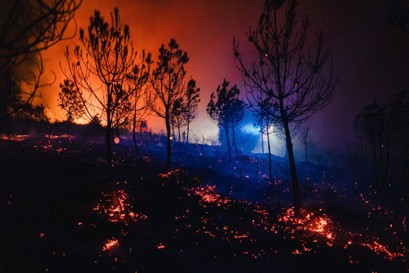 İspanya alev alev yanıyor - Resim: 10