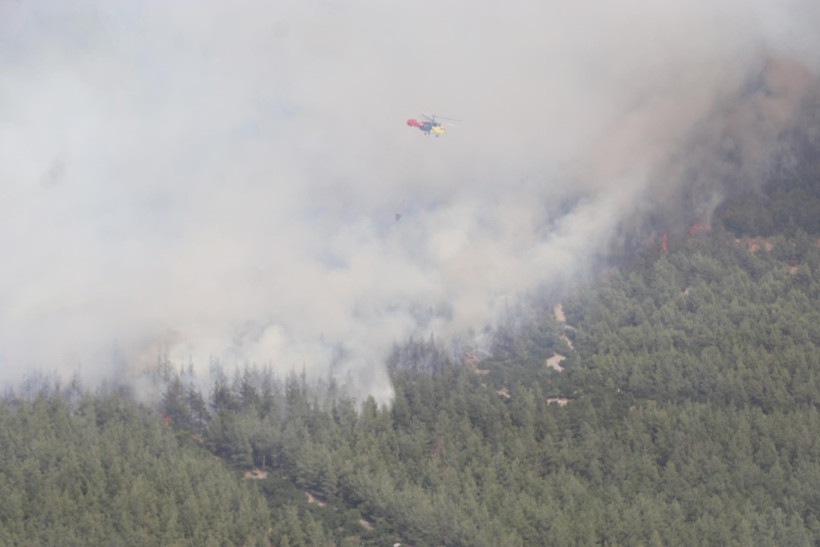 Pamukkale yanıyor! Havadan karadan müdahale başladı - Resim : 2