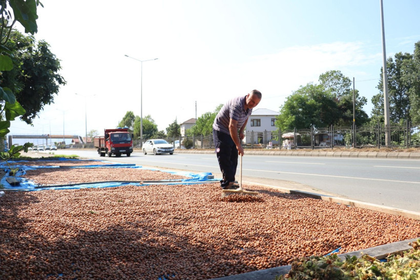 Kaldırımda fındık mesaisi - Resim: 3