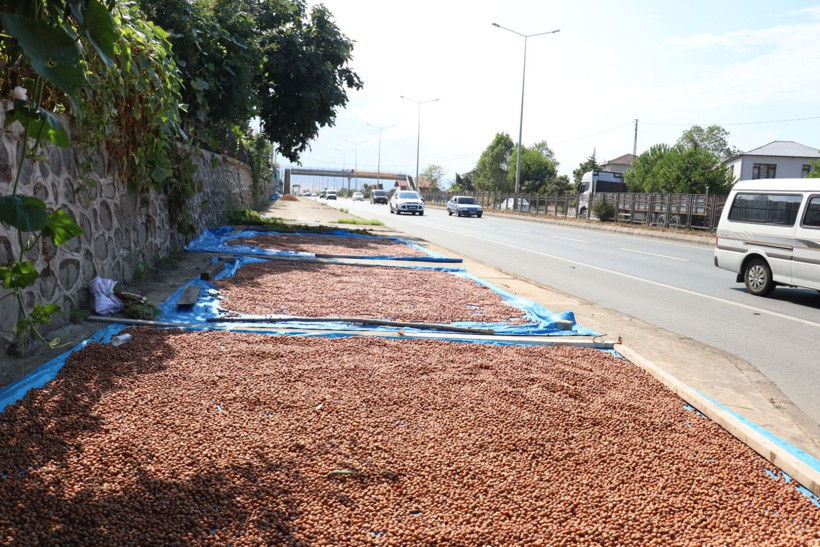 Kaldırımda fındık mesaisi - Resim: 5