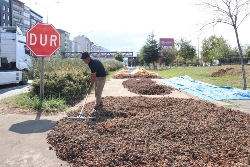 Kaldırımda fındık mesaisi - Resim: 7