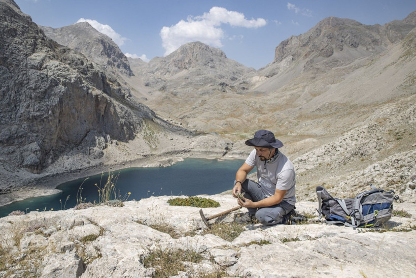 Anadolu'yu bitkiler için gezdi, Tunceli'de 5 yeni türü literatüre kazandırdı - Resim: 1