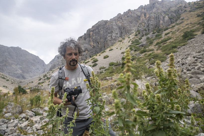 Anadolu'yu bitkiler için gezdi, Tunceli'de 5 yeni türü literatüre kazandırdı - Resim: 4