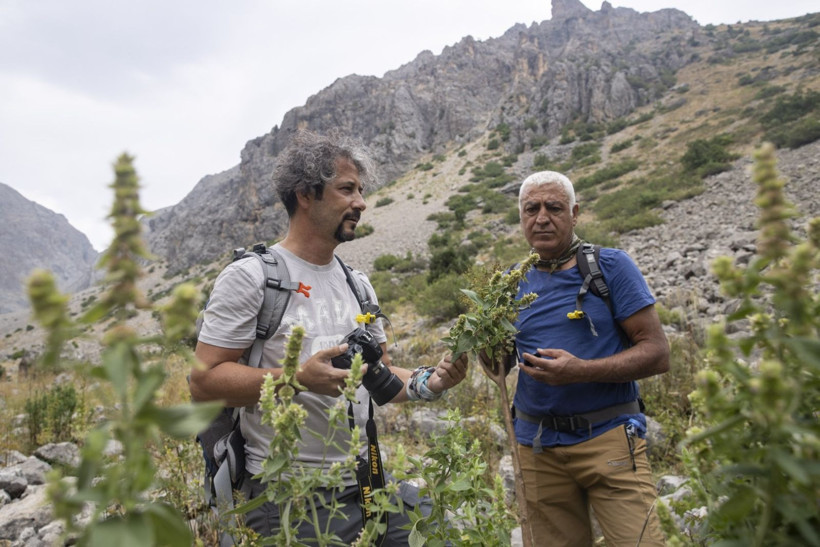 Anadolu'yu bitkiler için gezdi, Tunceli'de 5 yeni türü literatüre kazandırdı - Resim: 7