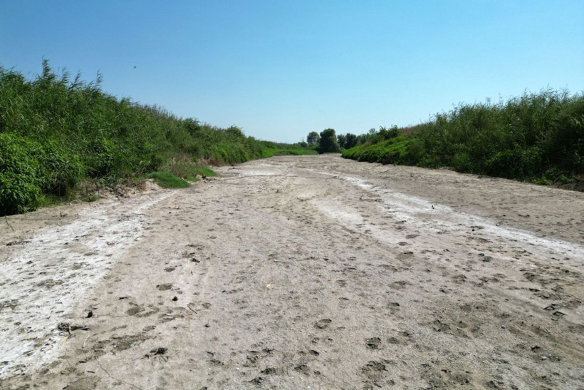 Ege S.O.S. veriyor: İzmir'in komşusu da suya hasret kalabilir - Resim: 4