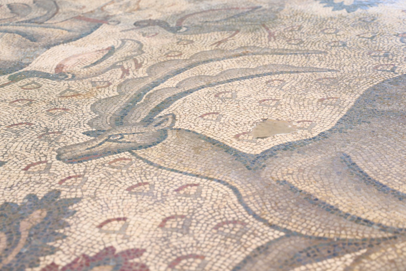 Elazığ'daki Roma mozaiğinde burjuvazinin izleri bulundu - Resim : 3
