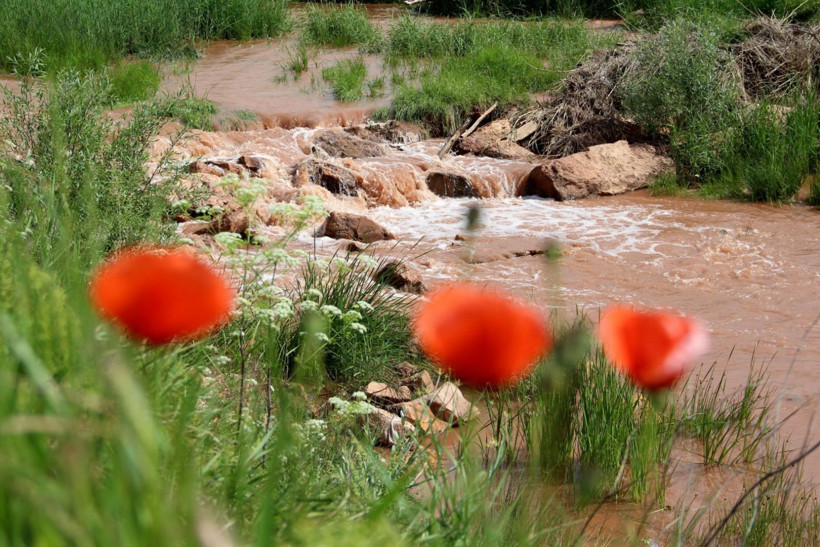 Kızılırmak'a rengini veriyordu, şimdi hali içler acısı - Resim: 10