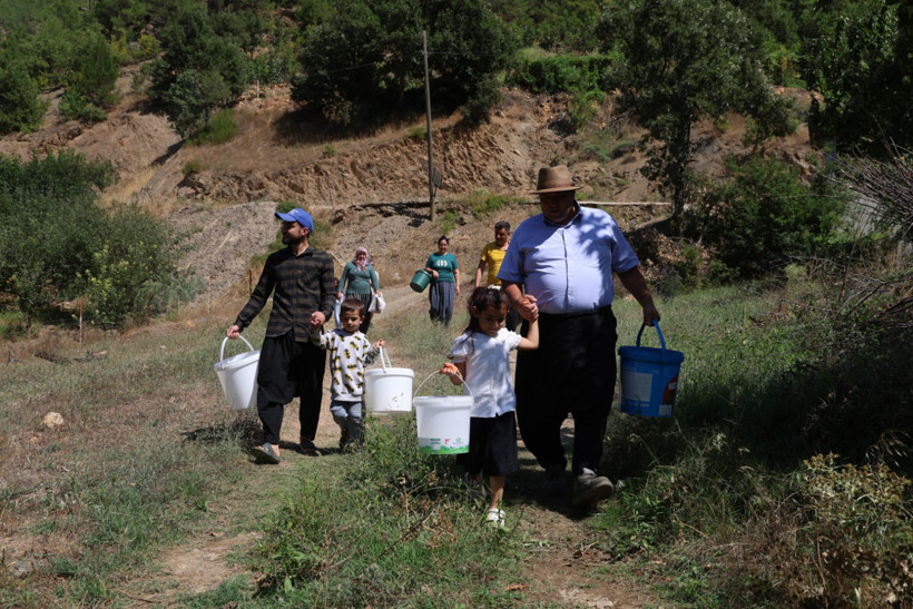 Karadeniz değil Adana: Torosların eteğinde fındık hasadı - Resim : 6