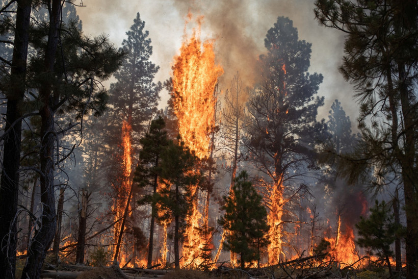 Avrupa'da bu yaz 43 milyar euro 'buhar' oldu - Resim : 2