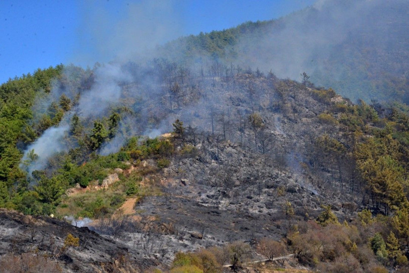 Antalya kâbusu yaşadı: 24 saatte 21 yangın - Resim: 2