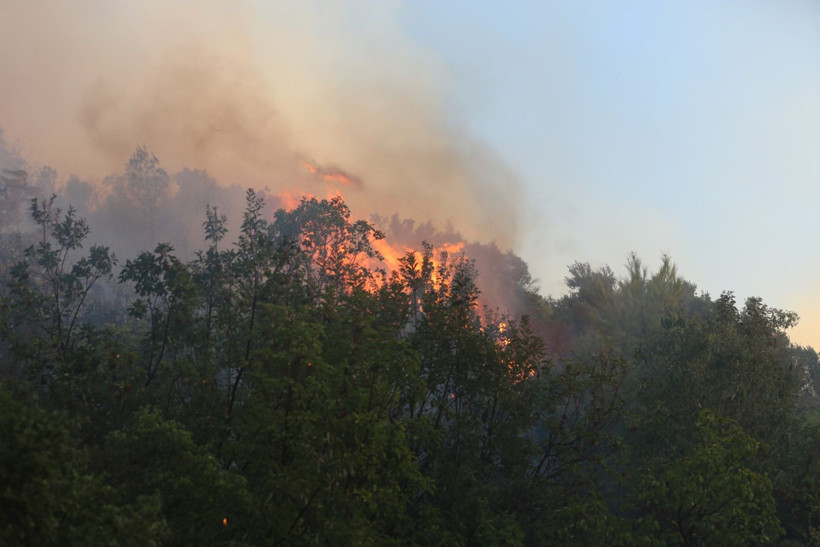 Alanya'da yangın yerleşim yerlerine ulaştı - Resim: 21