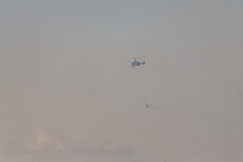 Alanya'da yangın yerleşim yerlerine ulaştı - Resim: 31