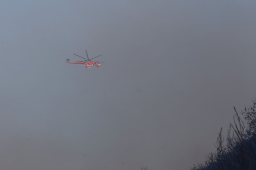 Alanya'da yangın yerleşim yerlerine ulaştı - Resim: 32