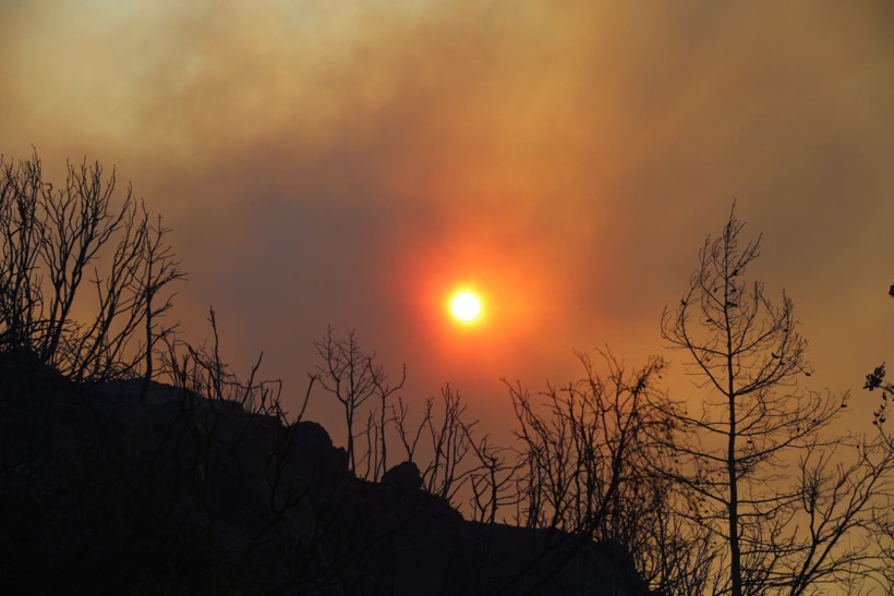 Alanya'da yangın yerleşim yerlerine ulaştı - Resim: 35