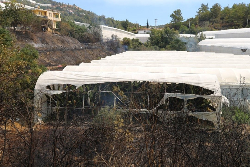 Antalya kâbusu yaşadı: 24 saatte 21 yangın - Resim: 14