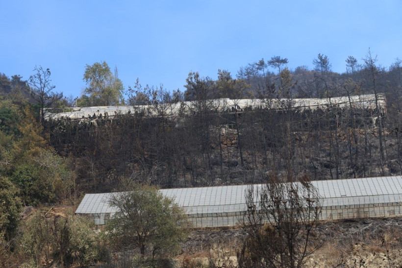 Antalya kâbusu yaşadı: 24 saatte 21 yangın - Resim: 16