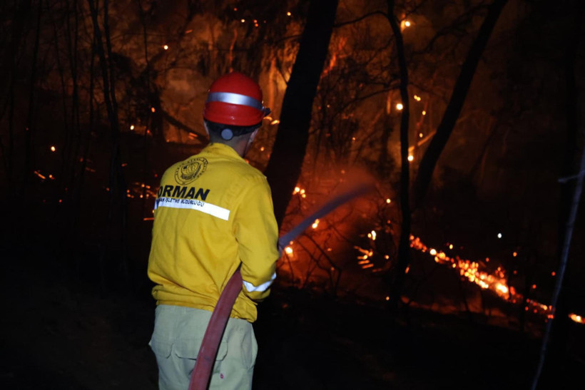 Köyceğiz'de 63 saat sonra acı kareler - Resim : 1