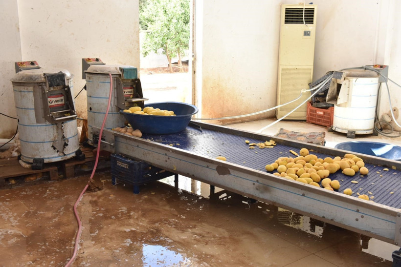 Otel ve restoranlara verilen 1,5 ton işlenmiş patates imha edildi - Resim : 3