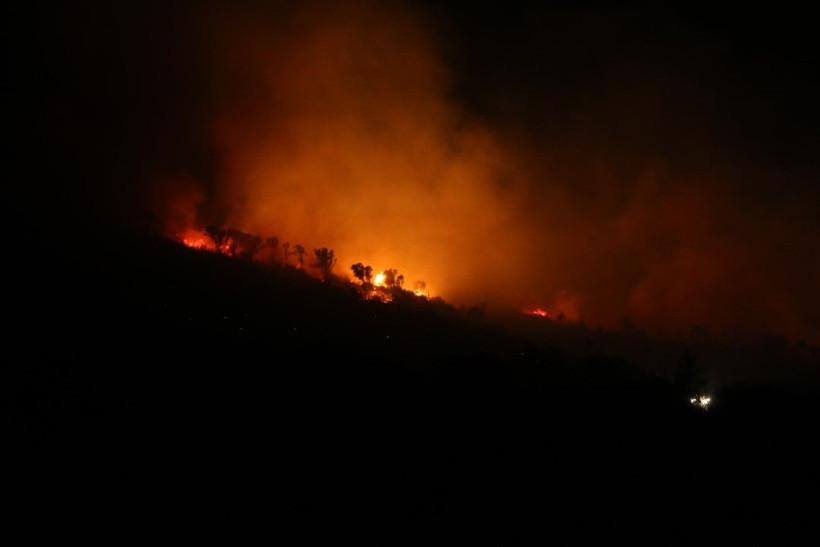 Bursa'daki orman yangını saatler sonra kontrol altına alındı - Resim: 16