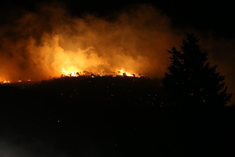 Bursa'daki orman yangını saatler sonra kontrol altına alındı - Resim: 17